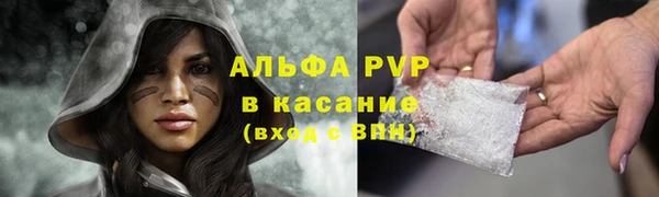 гидра Богданович