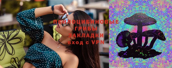дурь Надым