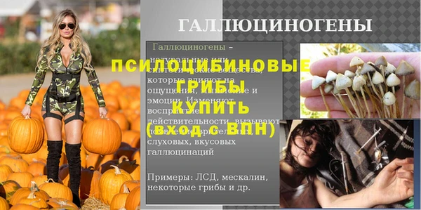 дурь Надым