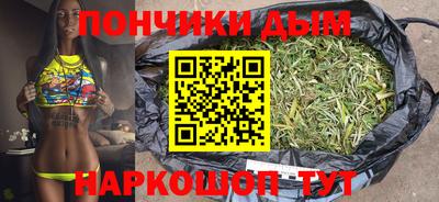 гидра Гай