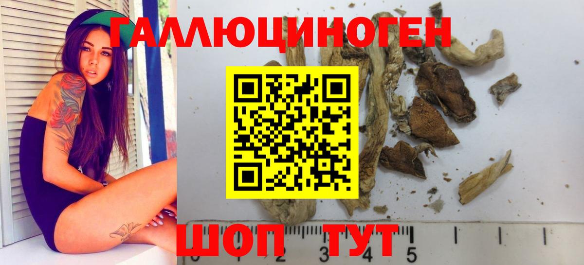 Галлюциногенные грибы Psilocybe  Вход с VPN  Чита 